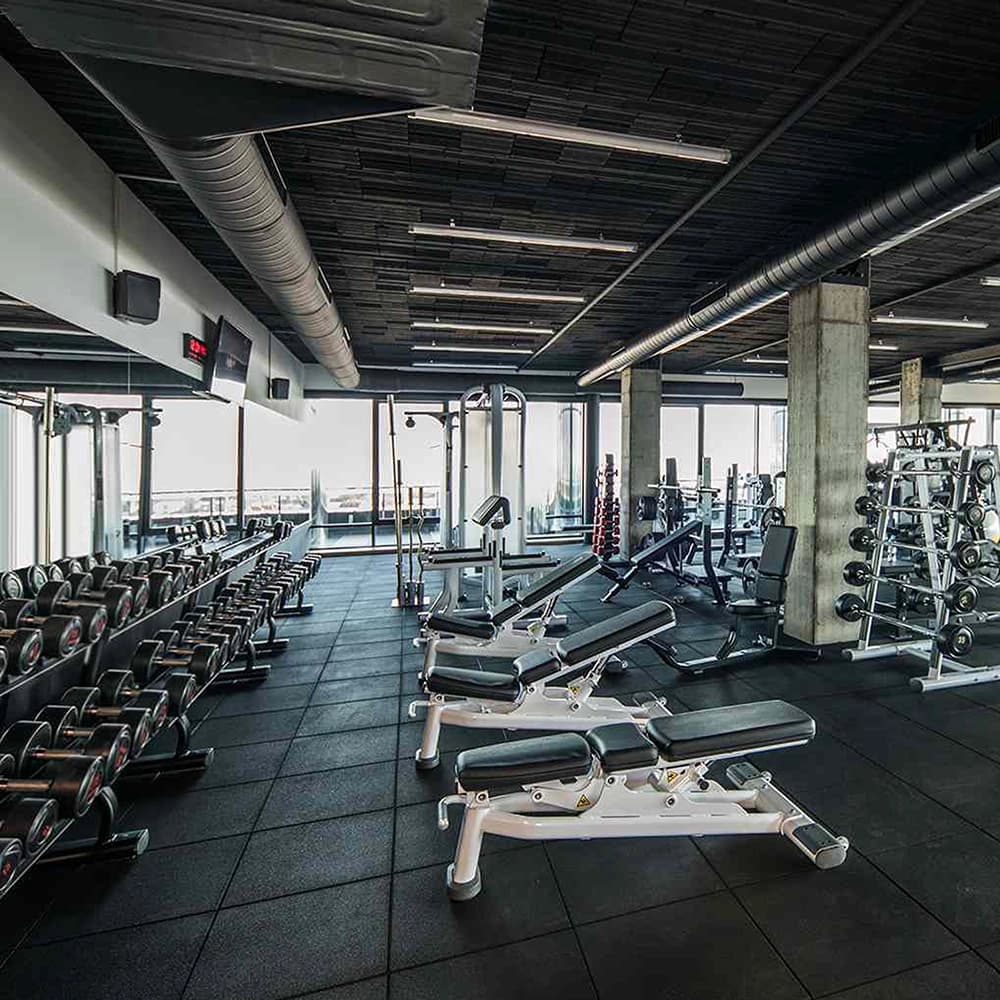 NPC at the gym