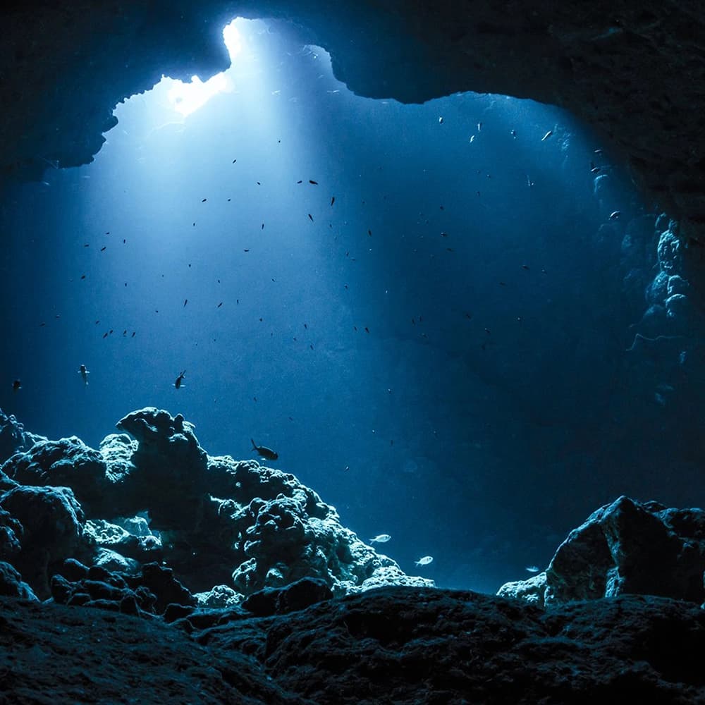 NPC underwater